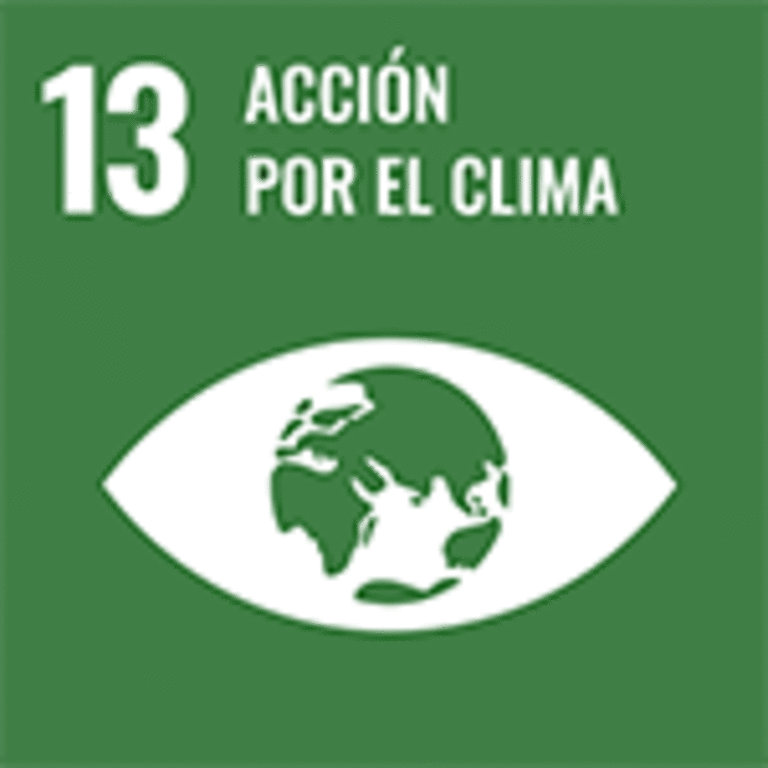 ODS 13 – Ação Climática