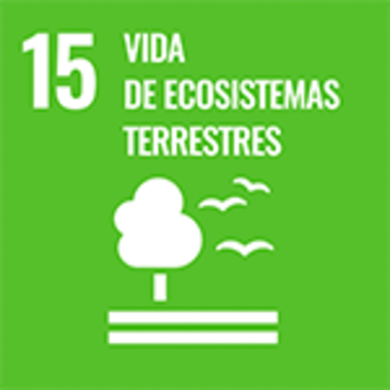 ODS 15 – Proteger a Vida Terrestre
